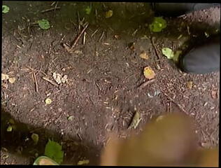 Video 1599603901: bareback twink orgy, gay bareback twink boy, boys interracial bareback gay, bareback twink sucking cock, gay bareback interracial handjobs, bareback gay teen twinks, sucking twink latino barebacked, barebacks young twink gay, amateur twink latino bareback, twink daddy bareback, gay interracial twink hot, twink big cock bareback, chubby gay twink, latino twink barebacking outdoors, bear orgy bareback, barebacking european twink, twinks gays boys masturbations, pissing young boy, british twinks sucking, gay twinks brazilian, teen orgy hd, bareback load, pissing mouth, younger chubby, dick young boy, pervert boy, naughty boy