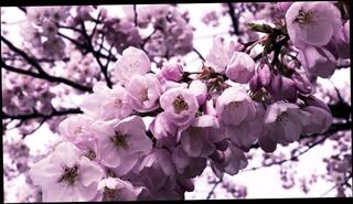 Video 1581439983: pov cum compilation, female masturbation orgasm compilation, women orgasm compilation, compilation sexy babe, public masturbation compilation, vibrator compilation, tattooed babe pov, sexy blonde pov