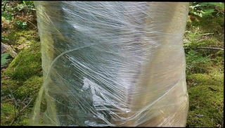 Video 1034455201: pantyhose bondage, man gay, gay hd