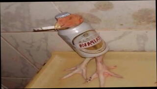 Video 895756085: gay oral anal, hetero anal