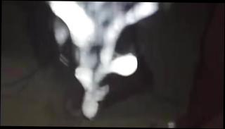 Video 397437201: cock dripping cum, masturbation dripping cum, gay cum dripping, cock big cum masturbation, big cock amateur cums, man masturbate cum, amateur masturbation hd, mirror cum