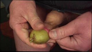 Video 392840104: gay toy, amateur toys