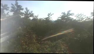 Video 370542801: gay man wanking, nature wank, wank hd