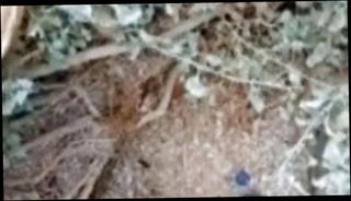 Video 1572279671: anal sex cum swallow, gay anal sex cum, gay couple anal sex, amateur couple webcam sex, gay anal sex straight, gay sex spanking, amateur asian couple sex, egyptian couple sex, homosexual