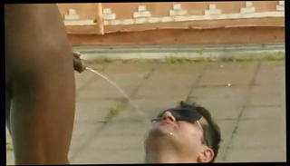 Video 1537556501: shemale orgy party, shemale group orgy, mature shemale orgy, pool party orgy, young orgy