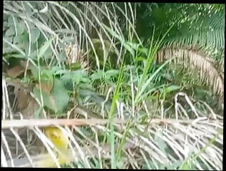 Video 1610399711: gay solo cumshot compilation, crossdresser cumshot compilation, skinny boy solo, crossdresser solo masturbation, bareback cumshot compilation, crossdresser solo cum, bareback compilation big dick, big cock bareback compilation, crossdresser solo homemade, amateur crossdresser compilation, solo toying compilation, mature crossdresser bareback, skinny asian barebacking, black bareback compilation, amateur blowjob cumshot compilation, gay sex bareback boy, skinny boy jerk, masturbation indian boy solo, daddy barebacks asian boy, solo tranny cums, solo hunk jerks, bareback boys outdoor, man cum compilation, cum compilation hd, crossdresser fisting, biggest cock cumshot, indonesian gay sex, sperm