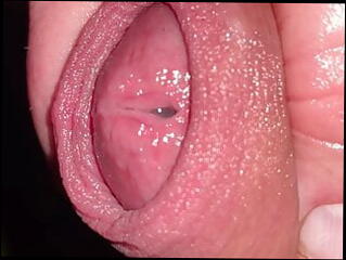 Video 1588792781: solo uncut cock masturbating, solo gay uncut cock, uncut cum close solo, chubby gay massage, uncut cock jerk cum, cumshot masturbation gay solo, penis massage cum, uncut cock handjob, solo amateur jerking, uncut cock precum, small cock close uncut, uncut cock jacking, uncut european cock, sperm massage, solo masturbation hd, gay belgian