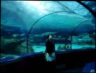 Video 11363701: porn straight, brunette porn