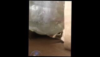 Video 1619428023: solo masturbation fleshlight, big dick twink solo, fetish twink porn, gay twink fetish, solo amateur twink, solo teen twink, solo male fleshlight, twink gay porn sex, solo masturbation sex toys, twink gay porn men, twink cock cums, twinks love cum, twink penetrates, hot twink cum, solo masturbation close, twink sex hd, straight twink, twink precum, fleshlight fantasy, twinks romantic, halloween solo