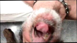 Video 1617078081: uncut cock pissing, hairy big uncut cock, uncut cock deep throat, uncut cum swallow, uncut cock big cumshot, uncut cock blowjob, amateur uncut cock, gay hairy cum, uncut pierced, hairy escort, uncut homemade, uncut italian, hairy redneck, hd uncut, eating hairy, mouth hairy, sex