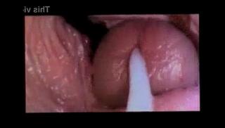 Video 295566585: gay pussy