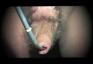 Video 241050301: gaping crossdresser, crossdresser sex toy, crossdresser gay sex, amateur crossdresser, lingerie gaping, man crossdresser