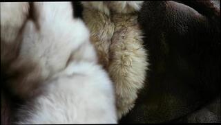 Video 297601701: gay masturbation cum, dirty cum, hd dirty