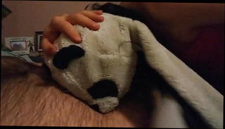 Video 832830001: gay couple sucking, sucking nice big cock