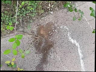 Video 1591962961: fetish gay solo masturbation, solo piss masturbation, grandpa pissing, piss gay daddies, amateur gay piss, piss gay fat, pissing old gay, european solo masturbation, solo masturbation hd, piss street, public pissing, gay swiss