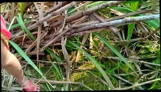 Video 969152355: girl friend anal sex, porn public anal sex, girl hard anal sex, college girl anal sex, indian girl sex hindi, indian porn desi sex, desi girl outdoor sex, exotic anal sex, anal sex outside, public park sex