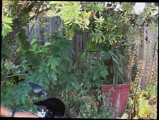 Video 1582173031: stud doggy style, interracial studs, sexy horny stud, sexy straight stud, lusty stud, hot horny stud, interracial outdoor blowjob, doggy style blows, brunette blowjob doggy style, doggy style butt, long haired stud, high heels doggy style, hot ebony studs, african stud, american stud