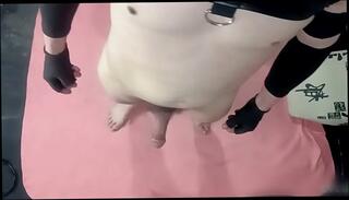 Video 1664983375: gay sexy anal, dog anal