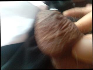 Video 1657943381: solo gay uncut cock, uncut hairy penis, hairy uncut big dick, hairy uncut daddy, uncut hairy black big, hairy uncut latino, uncut jock, uncut big cock boy, uncut cock erection, daddy's small uncut cock, big uncut monster cock, young uncut black boys, cute uncut boy, hd uncut, wet penis