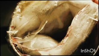 Video 1656413581: sissy boy fucks bbc, cock bbc masturbation solo, solo male masturbation pov, pov bbc cum, sucks bbc pov, bdsm pov sex, dick bbc pov, pov bbc anal, gay bbc sissy, bbc breeds sissy, sissy solo huge, pov black solo, asian sissy solo, toys sissy boy anal, homemade pov anal fuck, masturbation indian boy solo, big cock pov homemade, masturbation solo vibrator, cum face pov, mouth pov cummed, solo men masturbating, fuck sissy man, pov penis, sex pov hd