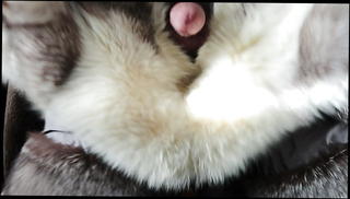 Video 1145682601: gay masturbation cum, legs masturbation, wet masturbation, cum hd