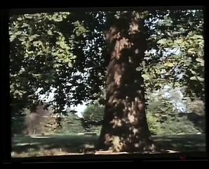 Video 250680101: vintage orgy, orgy group hardcore sex, teen group sex orgy, caged sex, orgy straight, hole orgy, hardcore titty