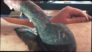 Video 1427627501: vintage massage, massage gay sex boy, cock massage cum, cock massage masturbation, cock massage handjob, homemade vintage sex, massage amateur cock, black dick massage, big black cock massage, small cock massage, gay man massage, massage hunk, massage cumshot, vintage black white, vintage hetero, massage german, hd massage