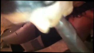 Video 113952501: amateur interracial blowjob, amateur interracial porn, black interracial blowjob, shemale black interracial, ladyboy interracial