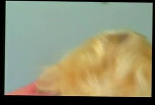 Watch the video about Dana Hayes strips and fucks