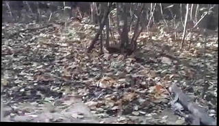 Video 1509427301: interracial rimming, suck rim swallow, rimming cum swallowing, rimming sucking amateur, interracial blowjob swallow, gay amateur rimming, interracial gay couple, rimmed sucks black, interracial outdoor blowjob, friend rimming, public rimming, american interracial, hd rimming, public park cum, one sucking