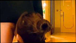 Video 1567856691: milf cheating wife fucked, milf mom fuck, milf sex fuck, milf mom blowjob, chinese milf fuck, milf face fucked, milf fucked rough, fucking asian milf, straight milf