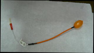 Video 1258931605: sissy punished, urethra