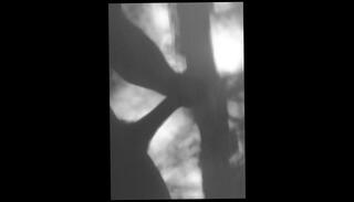 Video 1182137103: solo uncut cock masturbating, solo gay uncut cock, fetish gay solo masturbation, fetish solo jerks, uncut solo male, amateur teen solo masturbation, uncut dick wank, wanking big uncut cock, solo guy jerks cock, dick stroking gay solo, uncut daddy dick, huge dick solo masturbation, rough teen fetish sex, uncut cock handjob, fetish handjob hardcore big, straight uncut cock, snapchat solo