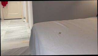 Video 1582316683: solo muscle jock, gay jock ass, gay hunk solo, stepson ass, solo male ass, gay men solo, tattooed muscle jock, fantasy solos, ass crush