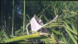 Video 1588939171: doggy style butt plug, anal plug doggy style, facesitting doggy style, sucks anal butt plug, ass butt plug anal, butt plug sex toy, huge anal butt plug, big butt plug anal, blowjob anal doggy style, doggy style cowgirl blowjob, doggy style sex cum, blowjob deep throat doggy, big tits butt plug, blonde anal doggy style, small tits doggy style, doggy style facial, hard anal doggy, doggy style straight, doggy style mouth, doggy style hd, deep throat bulge