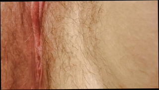 Watch the video about FtM Masturbation 4