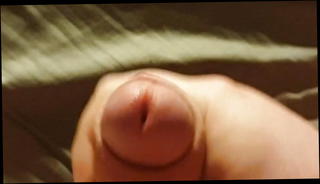 Video 1441187801: futa, amateur gay jerks, jerking cock masturbation, jerking fat cock, jerking small cock, amateur masturbation hd, australian cock