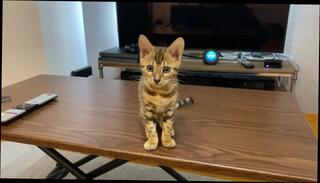 Video 1581132583: kagney linn karter, solo masturbation squirting orgasm, squirting pussy creampie, squirting anal creampie, solo babe squirts, solo squirt amateur, hentai softcore, solo male squirt, solo female squirt, creampie blowjob amateur anal, hentai pussy licking, horny squirting pussy, solo masturbation porn, pussy eating squirting, black pussy creampie, women squirting, romantic softcore, erotic pussy, pussy sucking, stuffs pussy, very erotic