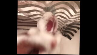 Video 771616395: solo bbc masturbation, bbc solo stroke, solo bbc shower, solo boy handjob, woman solo masturbation, solo masturbation big dick, solo big cock masturbation, monster dick solo, black woman bbc, solo bathroom masturbation, fat dick solo, ebony solo masturbation