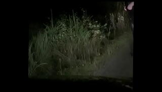 Video 1165491825: sissy shemale slut, sissy slut fucking, public sissy slut, fucking highheels