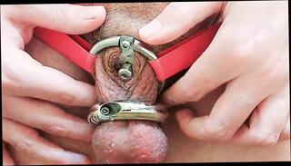 Video 1595447301: sissy crossdresser piss, pissing peeing fetish, sissy crossdresser solo, sissy cock cage, sissy crossdresser toying, gay sissy crossdresser, amateur sissy crossdresser, white sissy crossdresser, sissy cbt, cock sex toys fetish, gay sex pissing men, cbt cock ball, pissing penis gay, small penis pissing, gay man pissing, solo toy hd, sounding pissing, taking piss, sissy american, urethral sounding