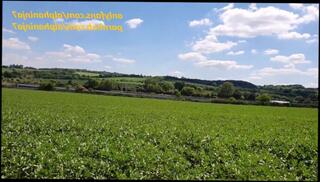 Video 1570135063: blowjob doggy cumshot milf, amateur milf doggy style, british milf doggy styled, brunette milf doggy, milf swallows cum amateur, amateur babe doggy styled, amateur milf outdoor, amateur milf public, doggy style outside, doggy trainning, milf dogging