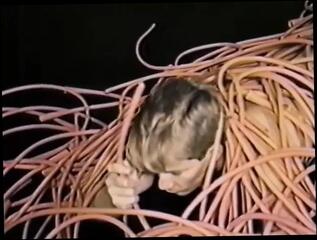 Video 1626241191: vintage bdsm gay, vintage retro, vintage domination, vintage black gay, dominant daddy, dominant black man, beard dominant, vintage african