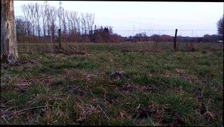 Video 232747401: naked gay man, naked flashing, naked next, naked open