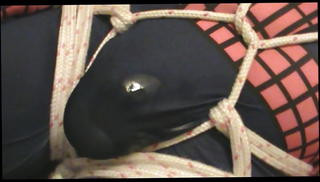 Video 1539328701: bdsm bondage slave, bondage slave master, bondage gay slave, bondage slave training, cbt slave, cbt massage, bound slave, cock massage handjob, cbt jerking, slaves big cock, slave couple, hd massage, hungarian couple