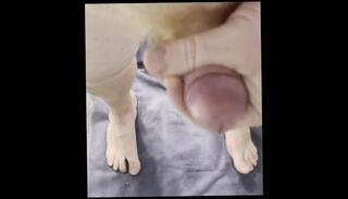 Video 1599992103: chubby gay solo, chubby bear solo, chubby feet, chubby male solo, chubby daddy cums, feet jerks cock, solo male cumshots gay, dick solo cum, solo amateur jerking, feet jizzed, chubby small dick, little feet, solo multiple