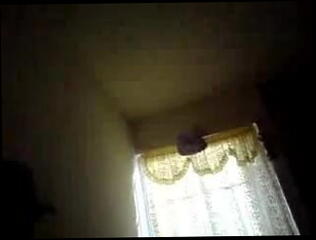 Video 11793001: latin amateur hardcore, husband hardcore, straight husband, ex husband, husband home, husbands hard