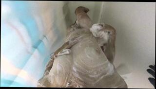 Video 1597548423: solo dildo pov, solo girl dildo masturbating, solo dildo masturbation orgasm, solo anal dildo masturbation, solo anal dildo amateur, girl feet pov, trans solo dildo, pierced cock solo, small tits solo masturbation, tgirl solo masturbating, solo masturbation moaning, dick pov masturbation, shower dildo masturbation, tit ties dildo, pov shower fuck, cute girl pov, solo shaking orgasm, young cock pov, nipples pov, leggings pov, load pov, old pov