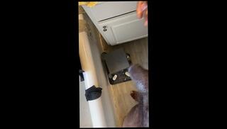 Video 1657088243: cock bbc masturbation solo, bbc masturbation solo male, hairy dick solo, bbc solo stroke, hairy guy solo, hairy mature solo, amateur cock sucking bbc, cock sucking black bbc, bbc big dick sucked, hairy sex amateur, hot solo cock masturbation, big hairy long dick, amature bbc, love hot solo masturbation