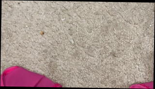 Video 1039718401: bbw panties, gay panty, man gay, gay hd